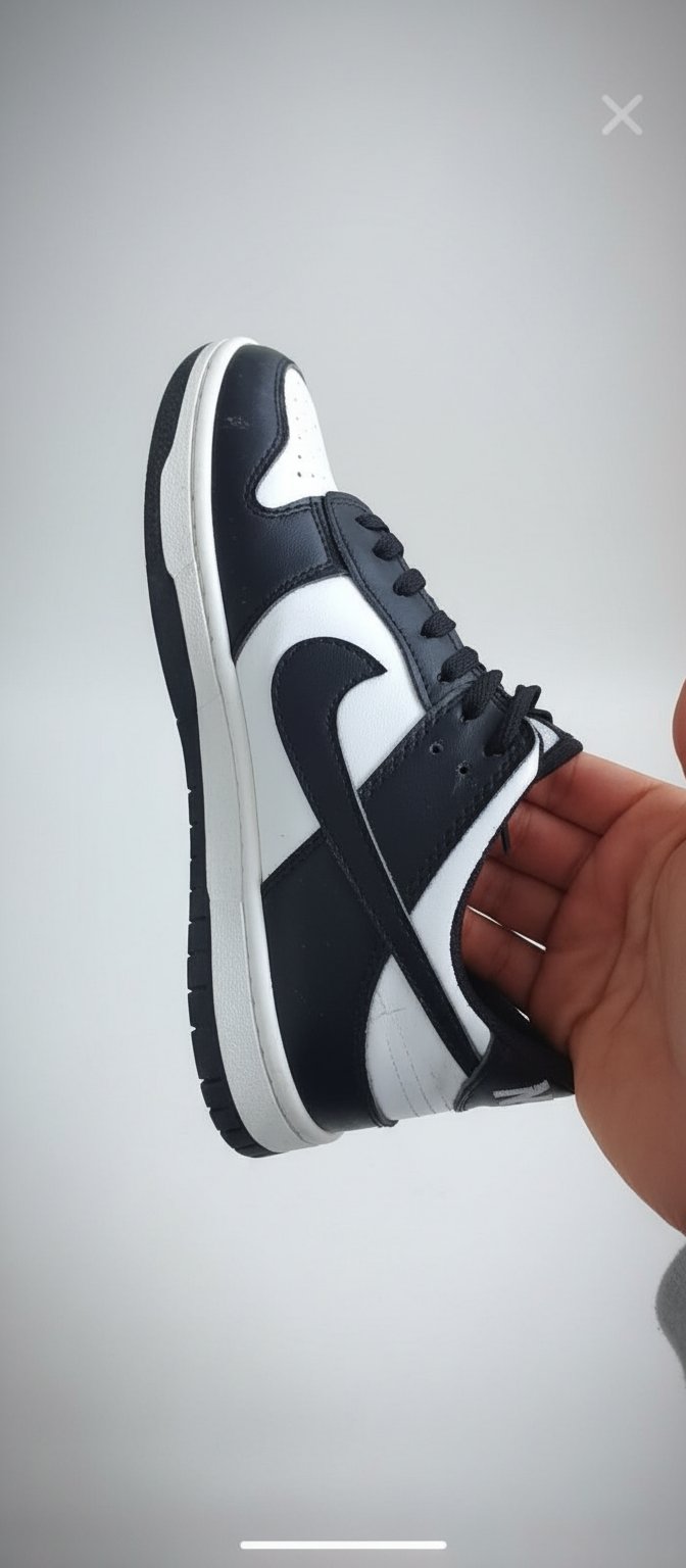 AUTHENTIC NIKEJordan low