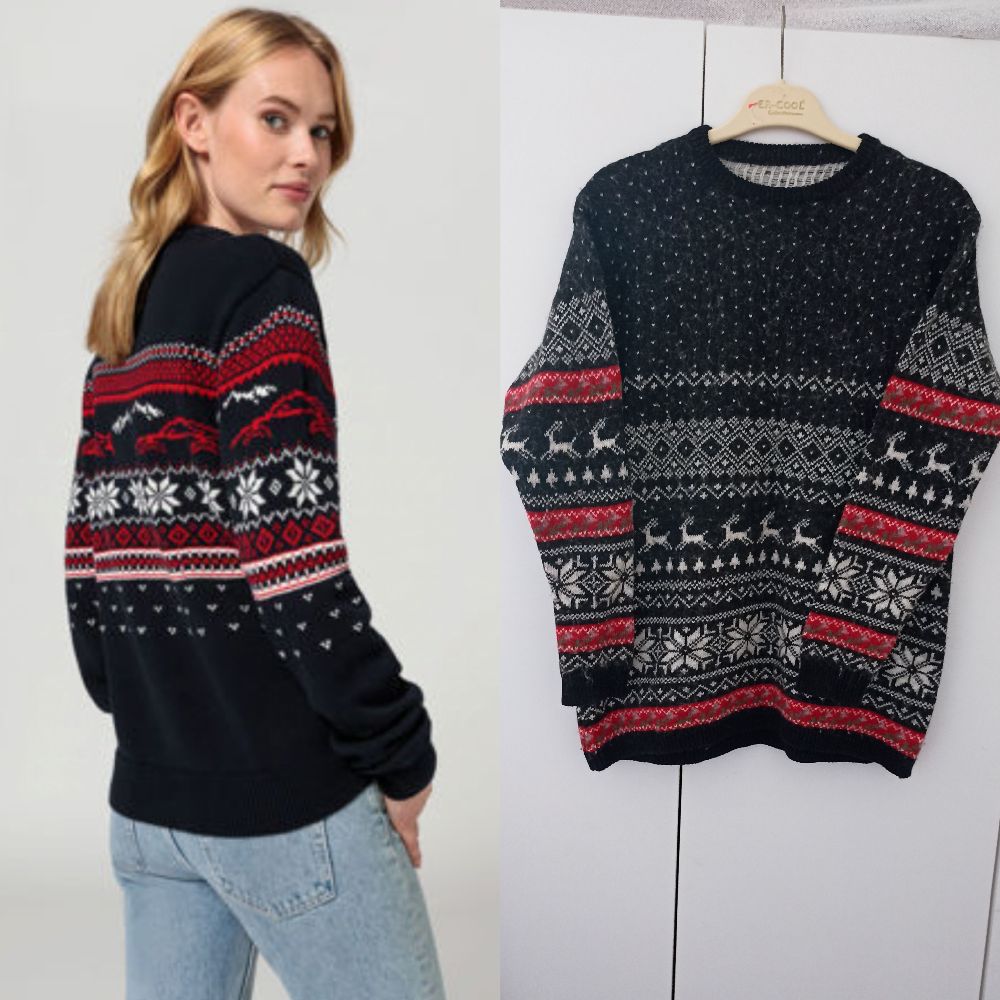 Pull de Noël🦌