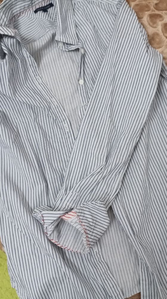 Chemise Tommy 