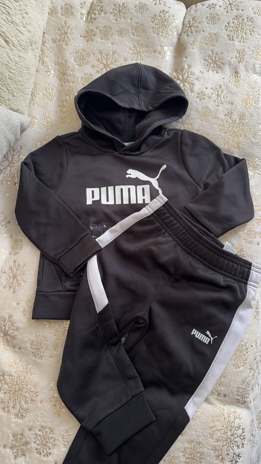 Puma 2 ans 