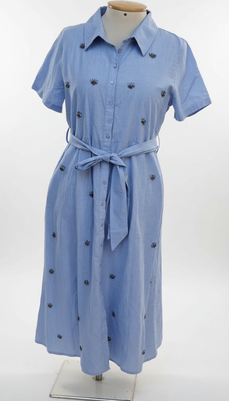 Robe bleu brodée 