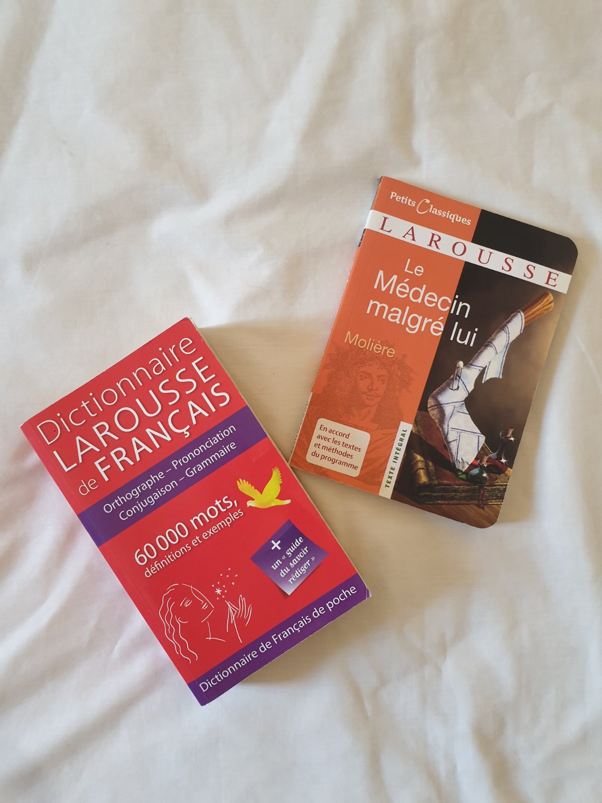 Lots dictionnaire la rousse 