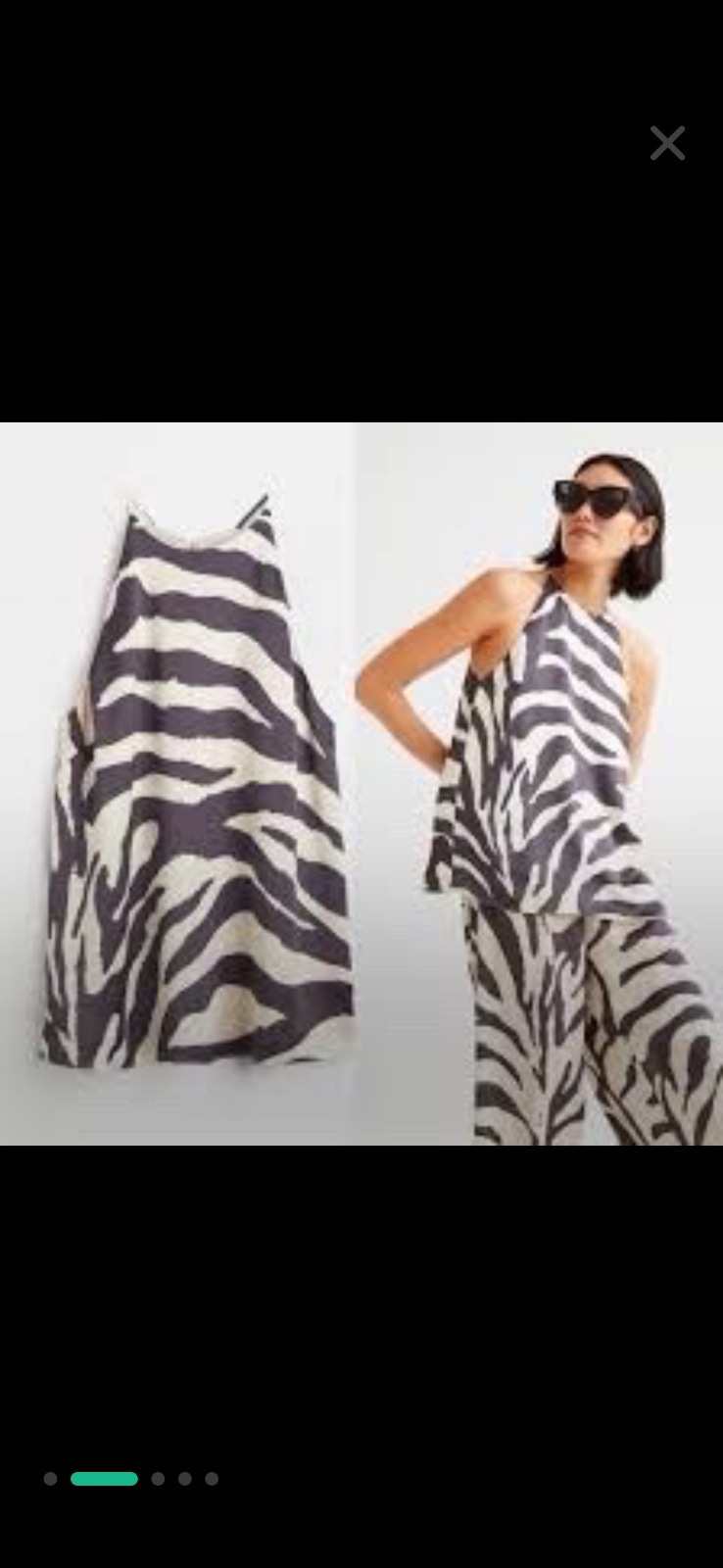 Eneemble zebre
