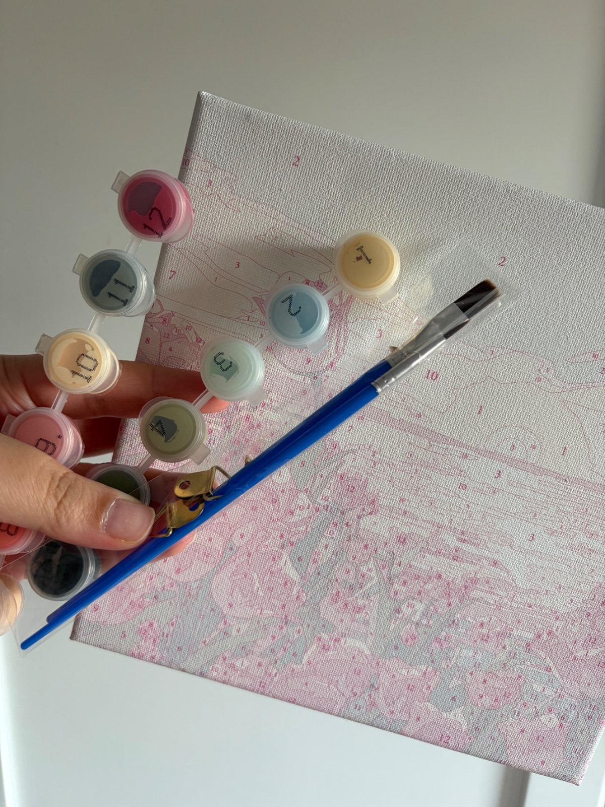Painting by numbers Set 🌸