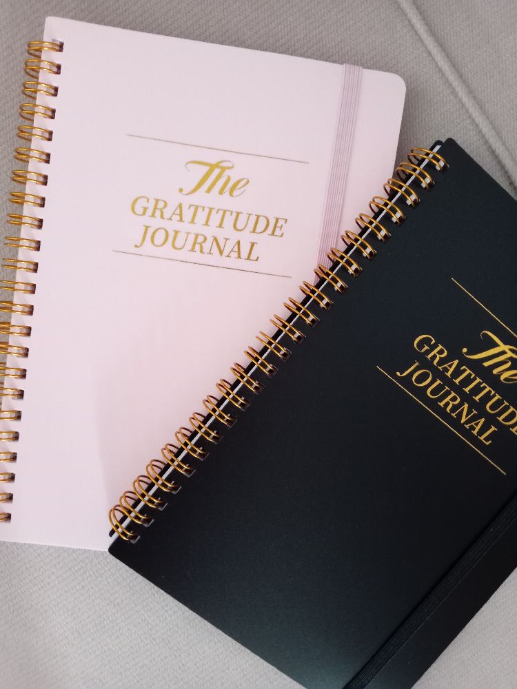 The gratitude journal 