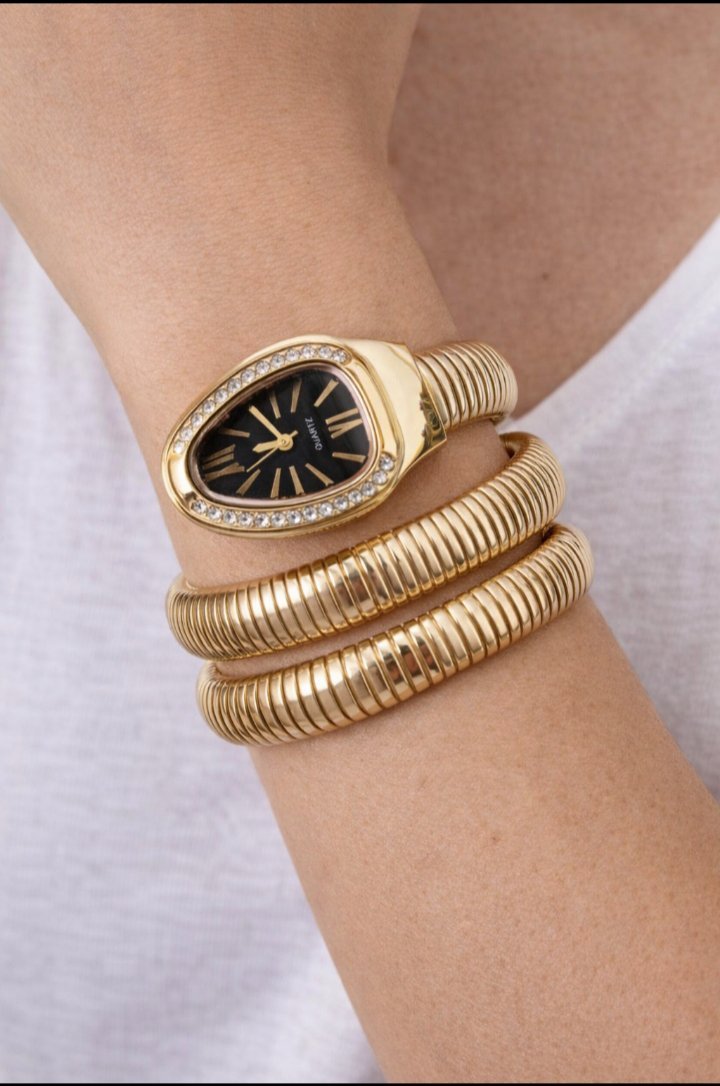 Montre en acier inoxydable 