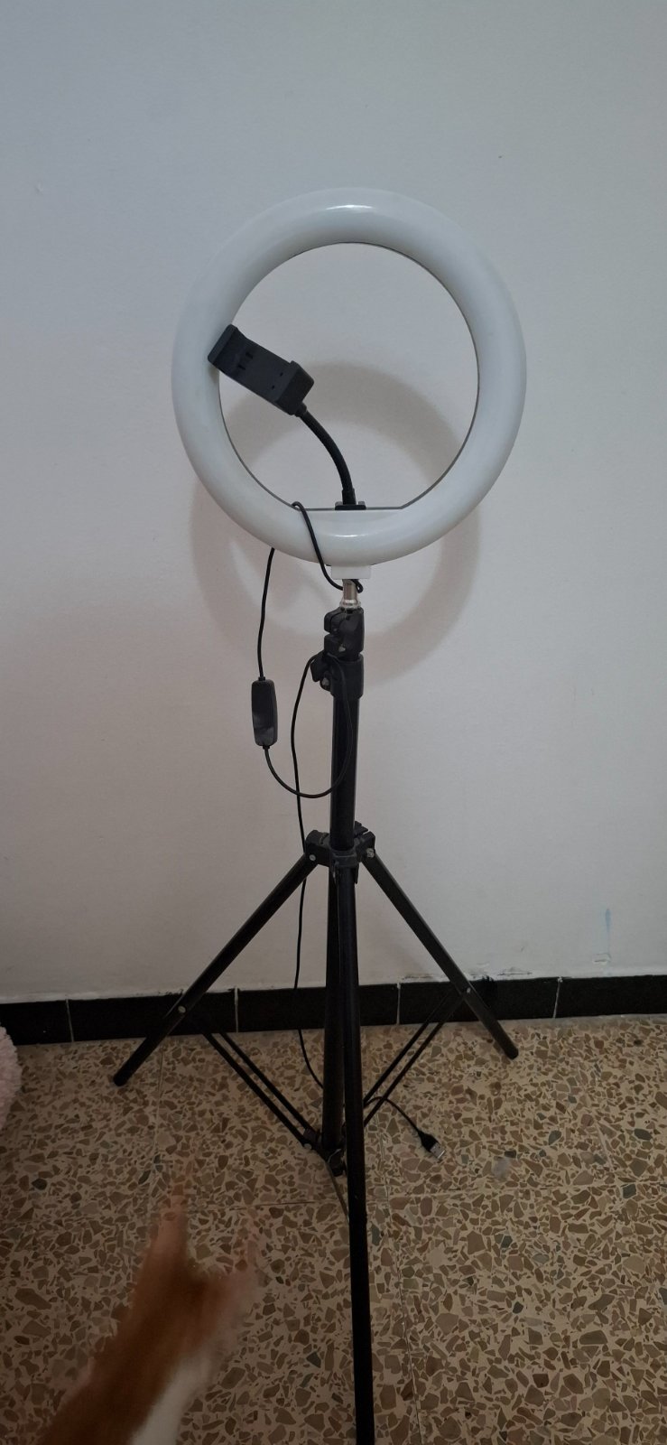 Ring light