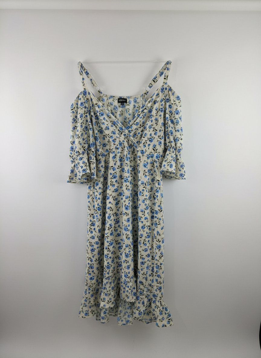 Robe grande taille 