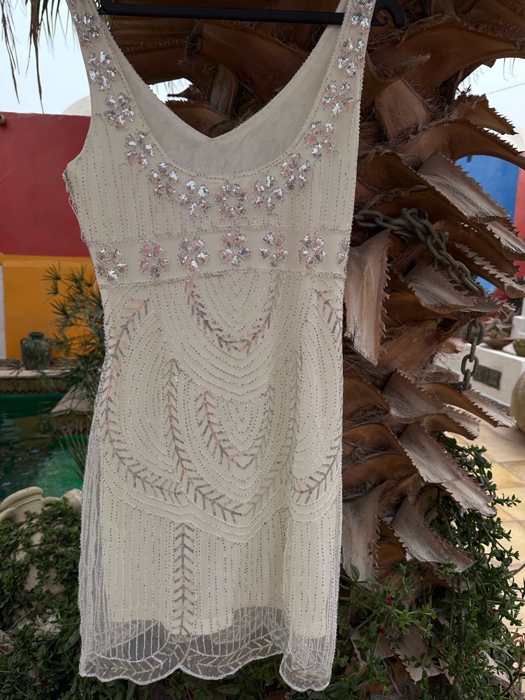 jolie robe  chic argente broder 