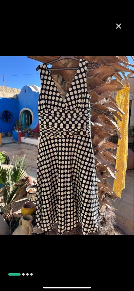 Jolie robe à pois Zara, emporté