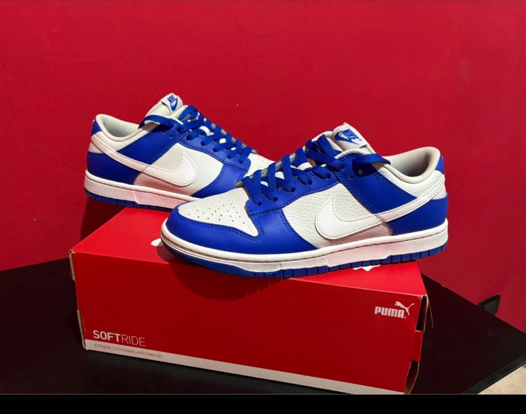👟🔥 NIKE DUNK LOW ORIGINALES – TAILLE 41 🔥👟