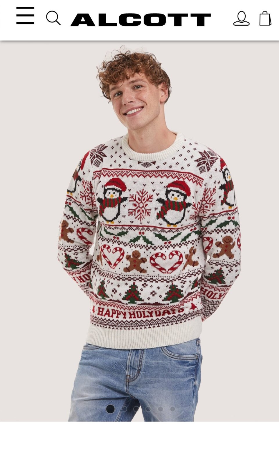 Un pull de la collection Famille de Noël Alcott. 