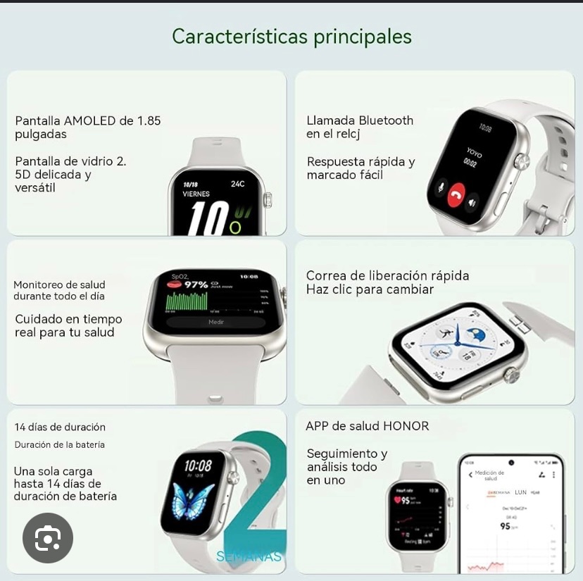 Montre Connectée Honor Choice Watch 2i 