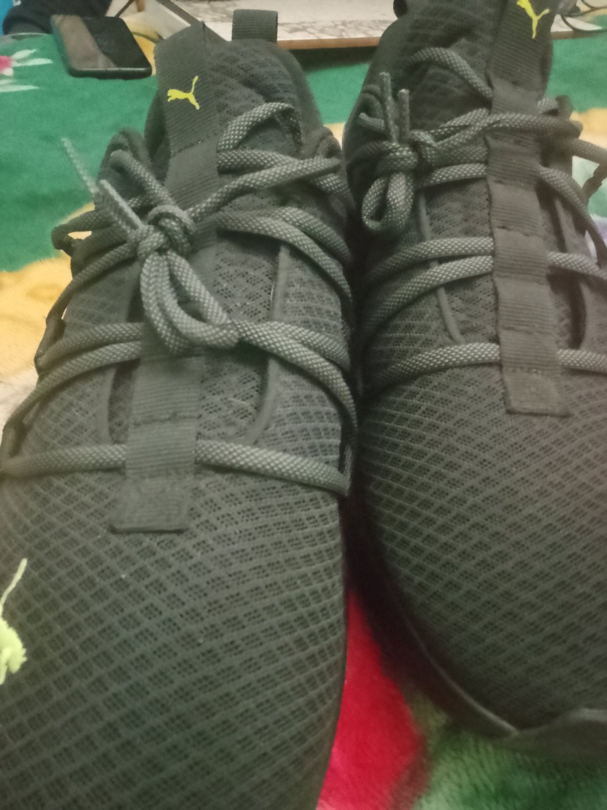 Basket Puma