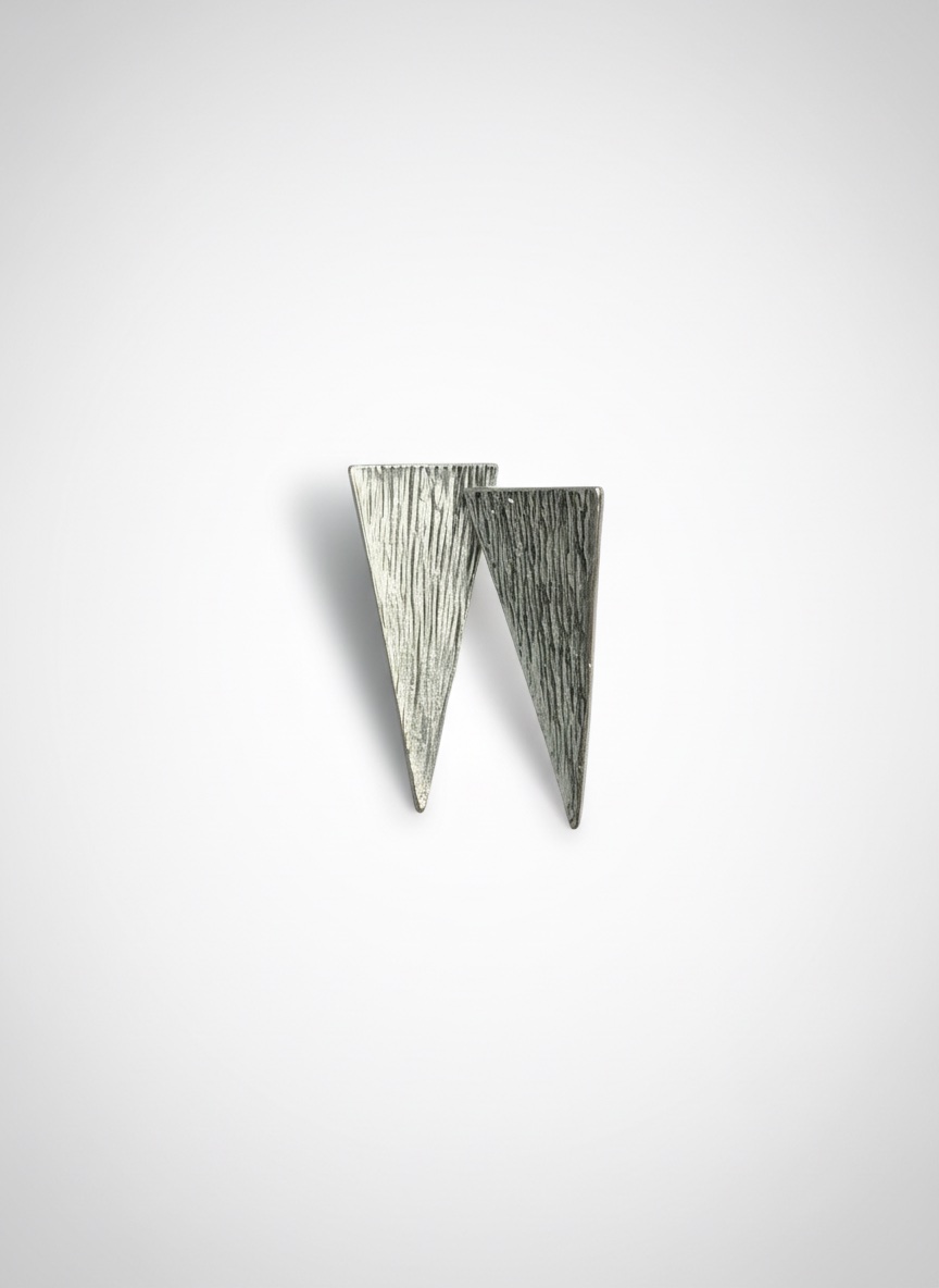 Boucle d'oreilles argentées