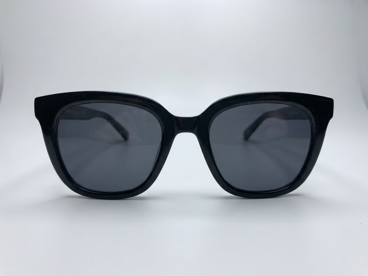 Lunettes de soleil noires