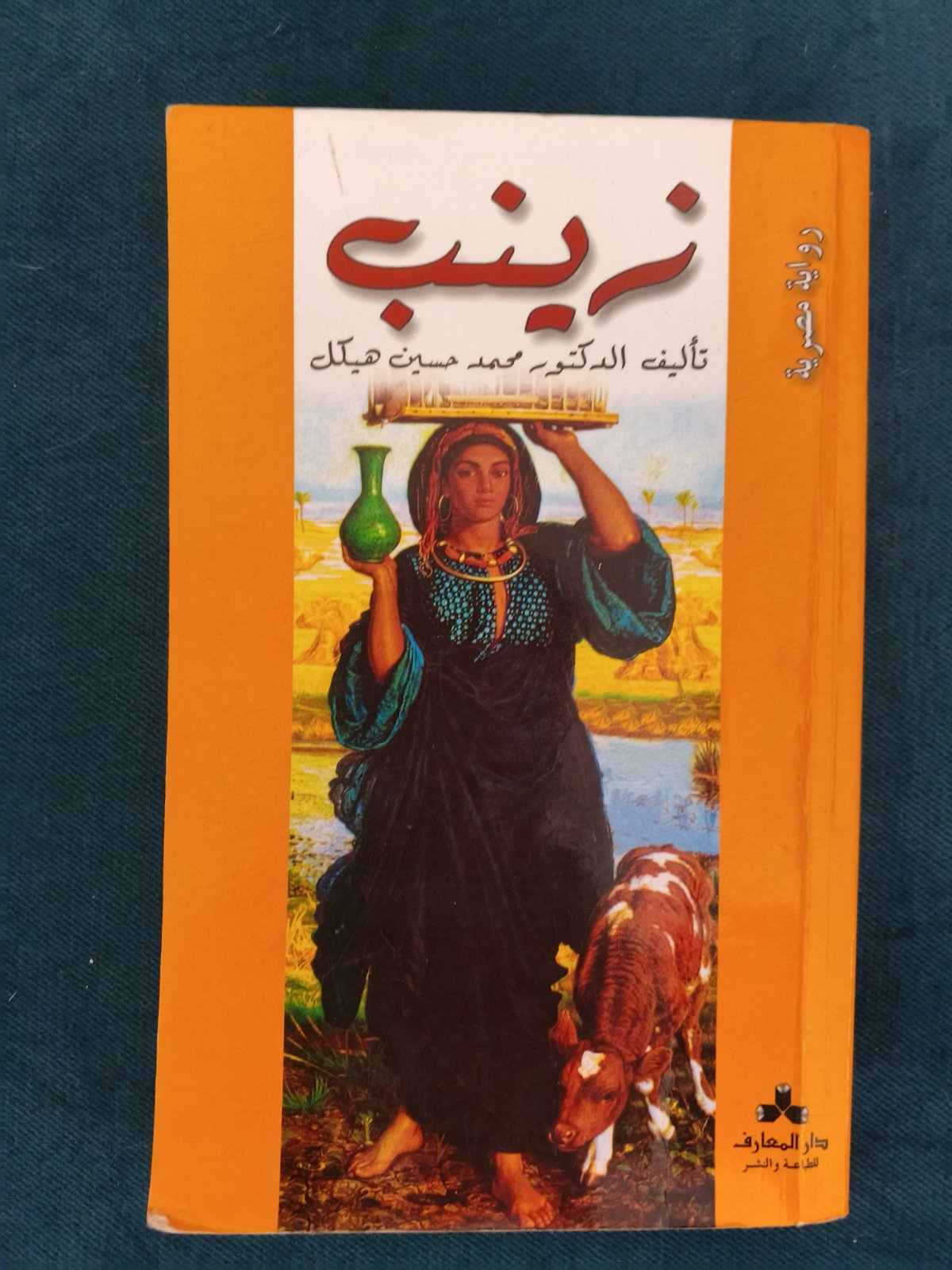 رواية زينب
