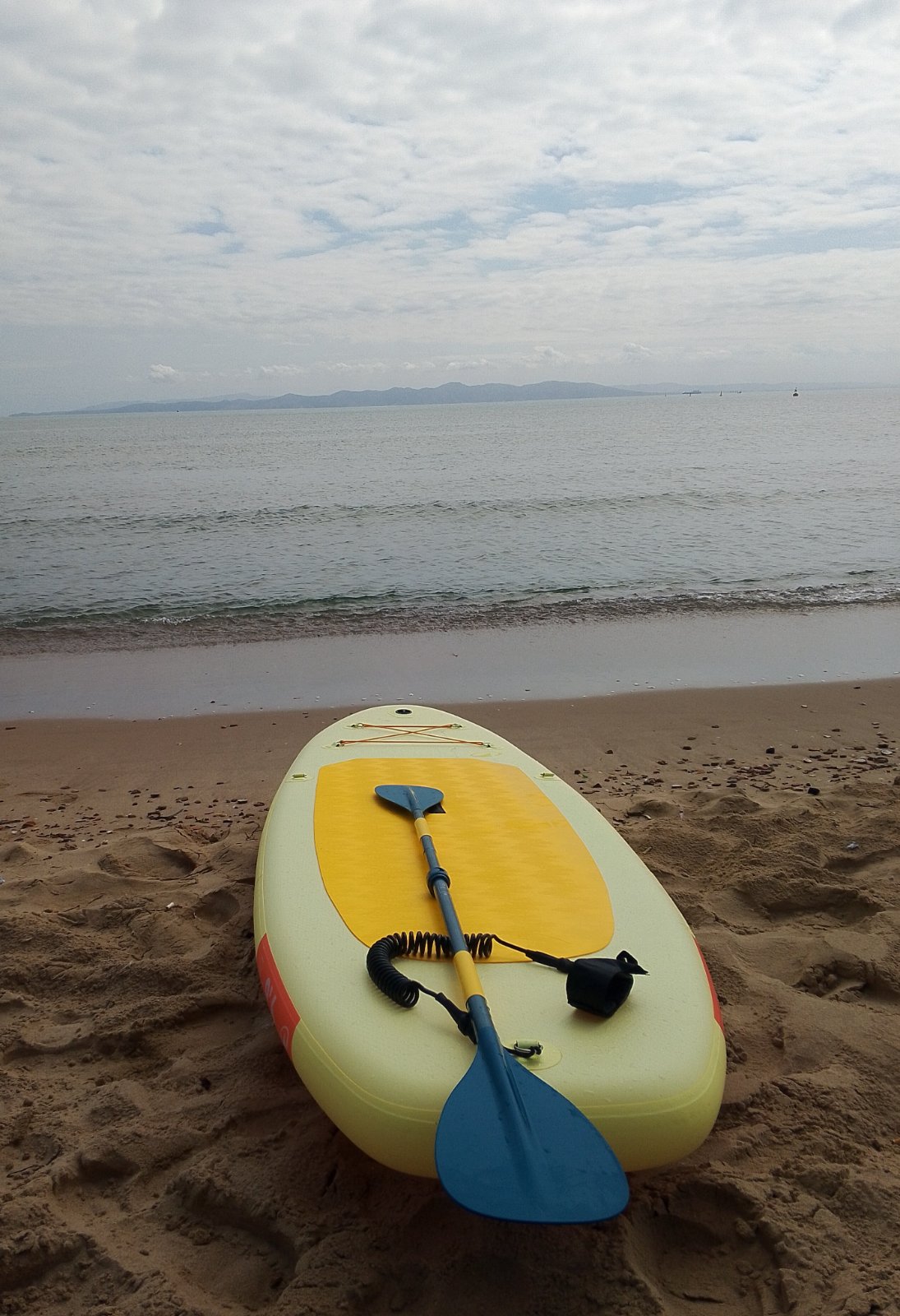 Paddle