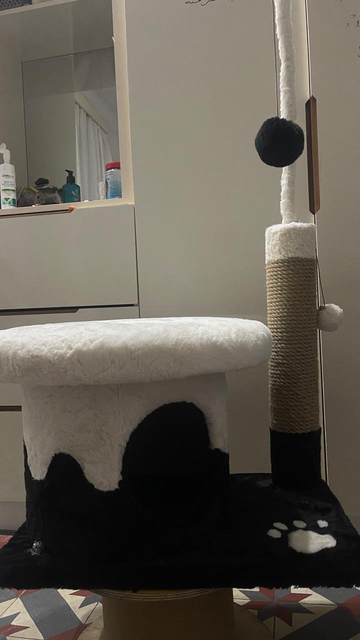 Arbre a chat
